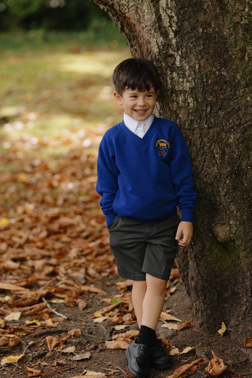 A student in a blue school uniform sweater and grey shorts stands next to a large tree trunk surrounded by autumn leaves.