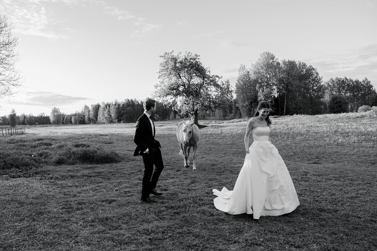 Black and white photograph of a couple in wedding attire walking with their dog in an open field at sunset.
