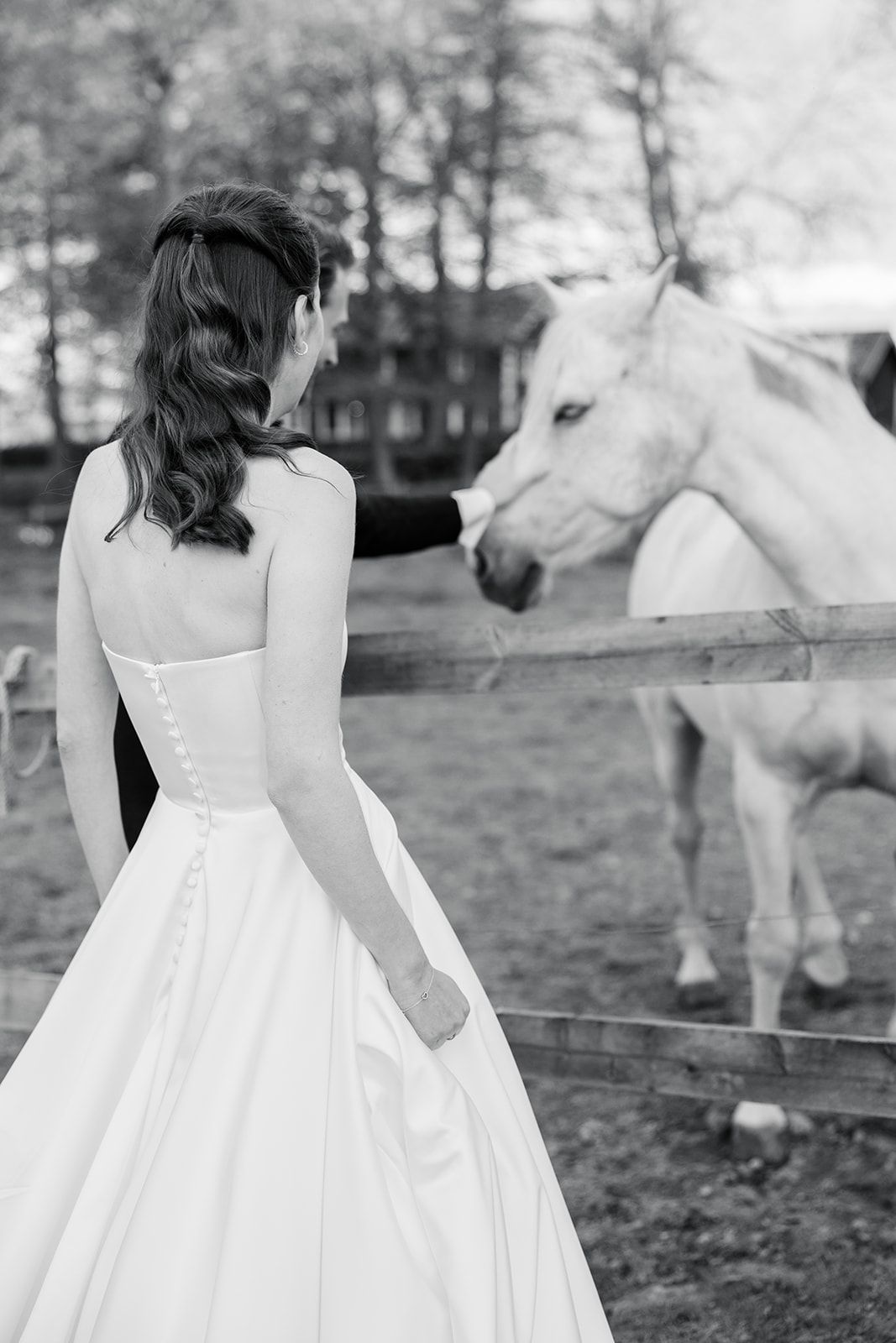 A bride in a classic white wedding gown reaches out to pet a white horse through a wooden fence on a cloudy day.