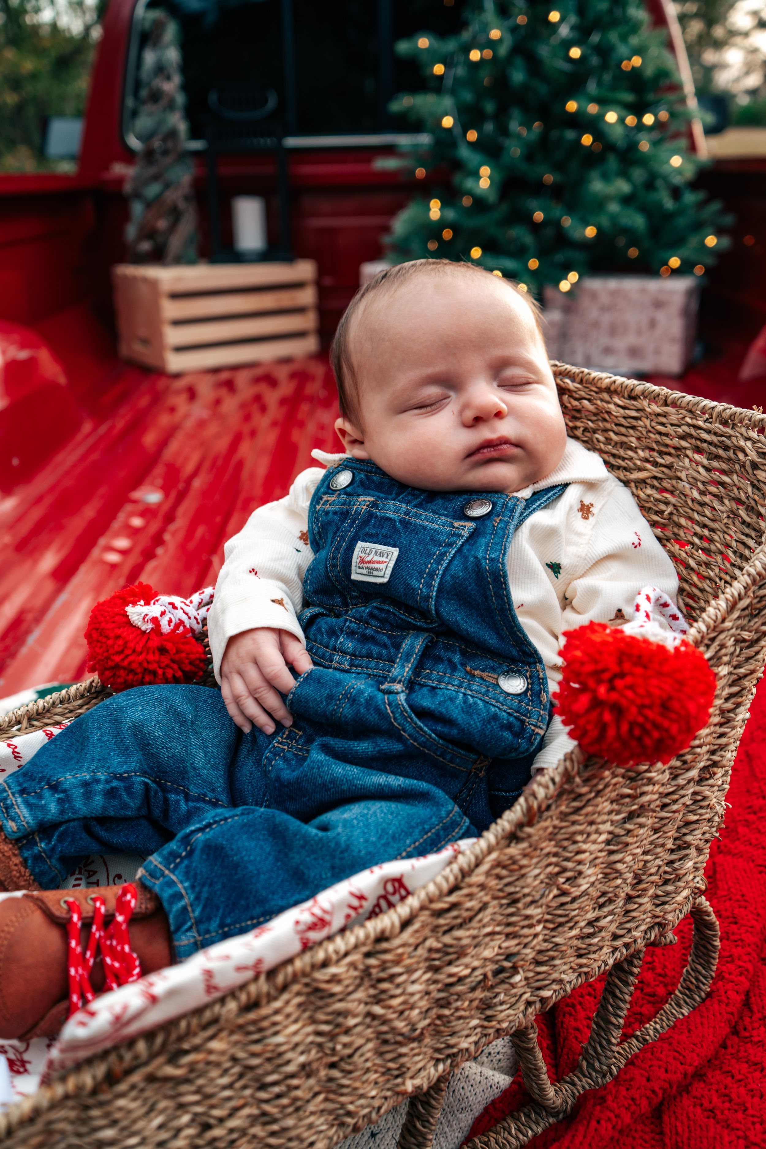 Sleeping newborn baby in denim overalls in a wicker basket at a Christmas photo shoot.