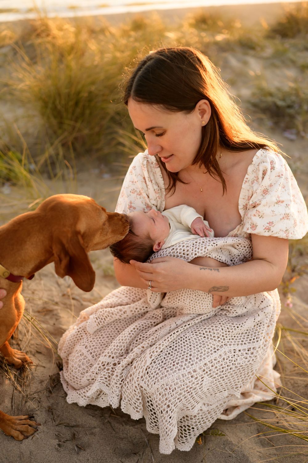 mother holds her newborn for dog to see during a sunset beach newborn photoshoot in Ventura, captured by Ventura photographer