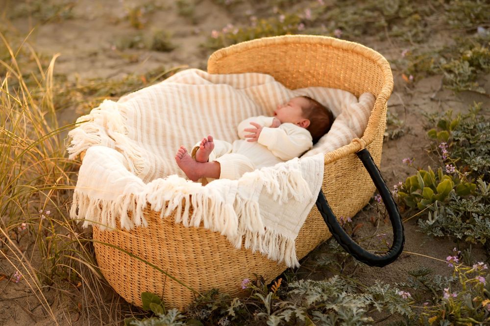 Newborn baby lying in woven Moses basket in sand dunes, during a golden hour beach newborn photoshoot by a Ventura photographer