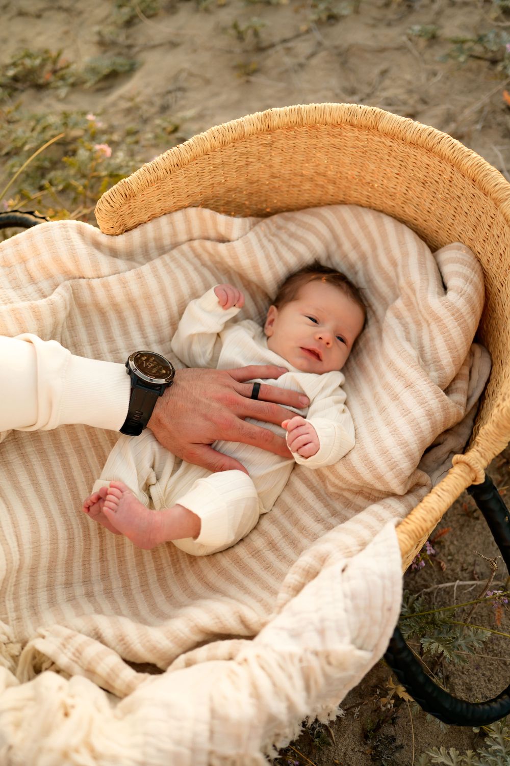 Newborn baby lying in woven Moses basket on the Ventura sand dunes, during a golden hour beach newborn photoshoot by a Ventura photographer