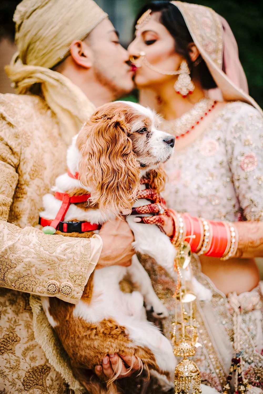 A golden retriever dog sweetly kisses a bride wearing traditional Indian wedding attire.