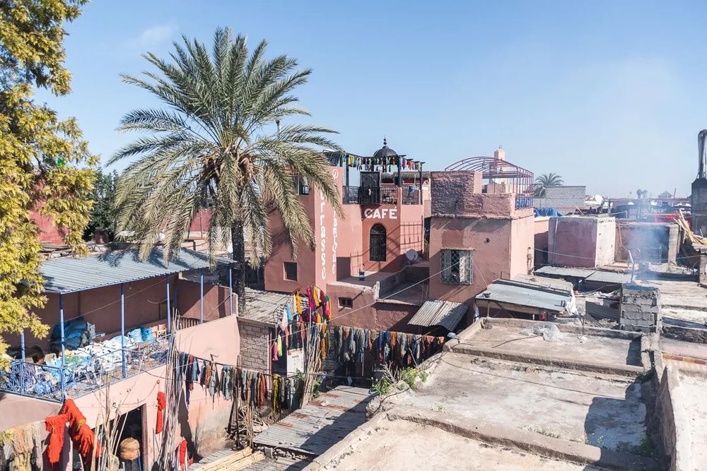 Rooftop views over the old medina with terracotta buildings and tall palm trees.
