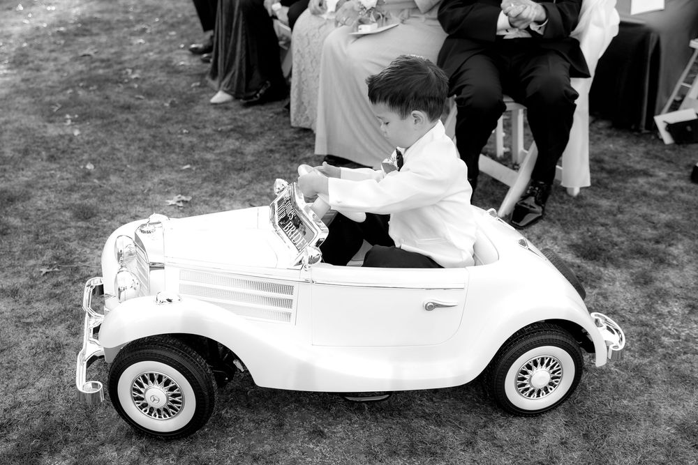 A collection of vintage white MG sports cars on display at an outdoor classic car show event.