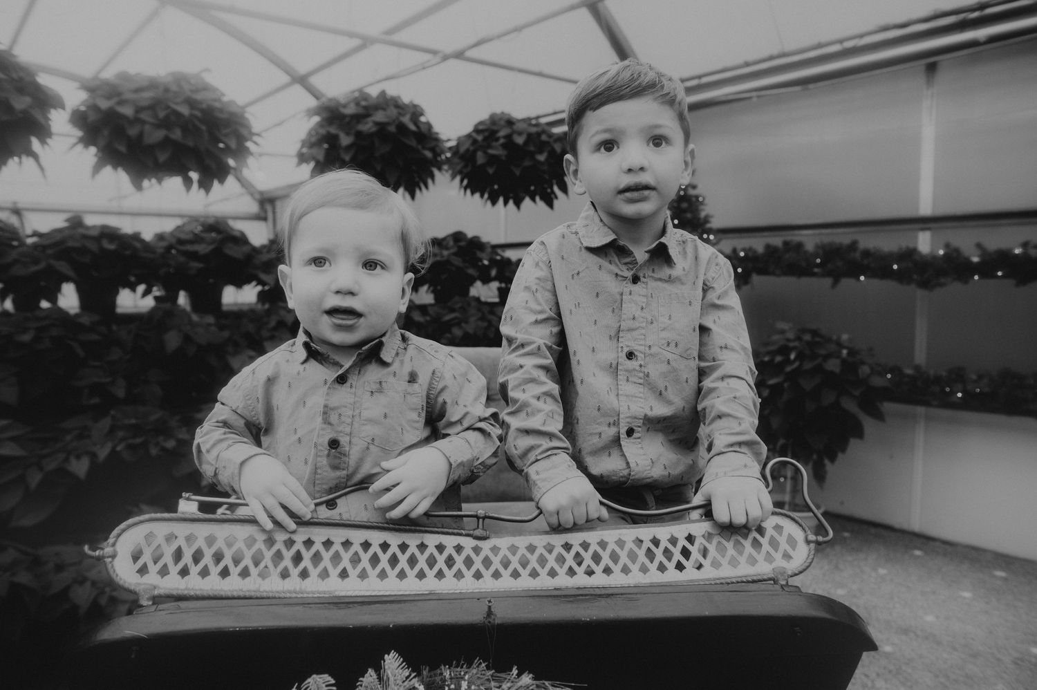 Family walking together through a Christmas tree farm in New Jersey, smiling and holding hands during a festive holiday photo session