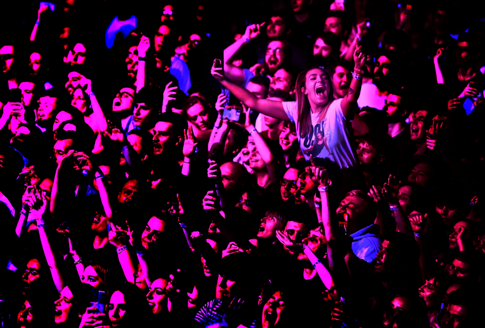 A large crowd of concert goers illuminated in pink and blue lighting raise their hands during a live performance.
