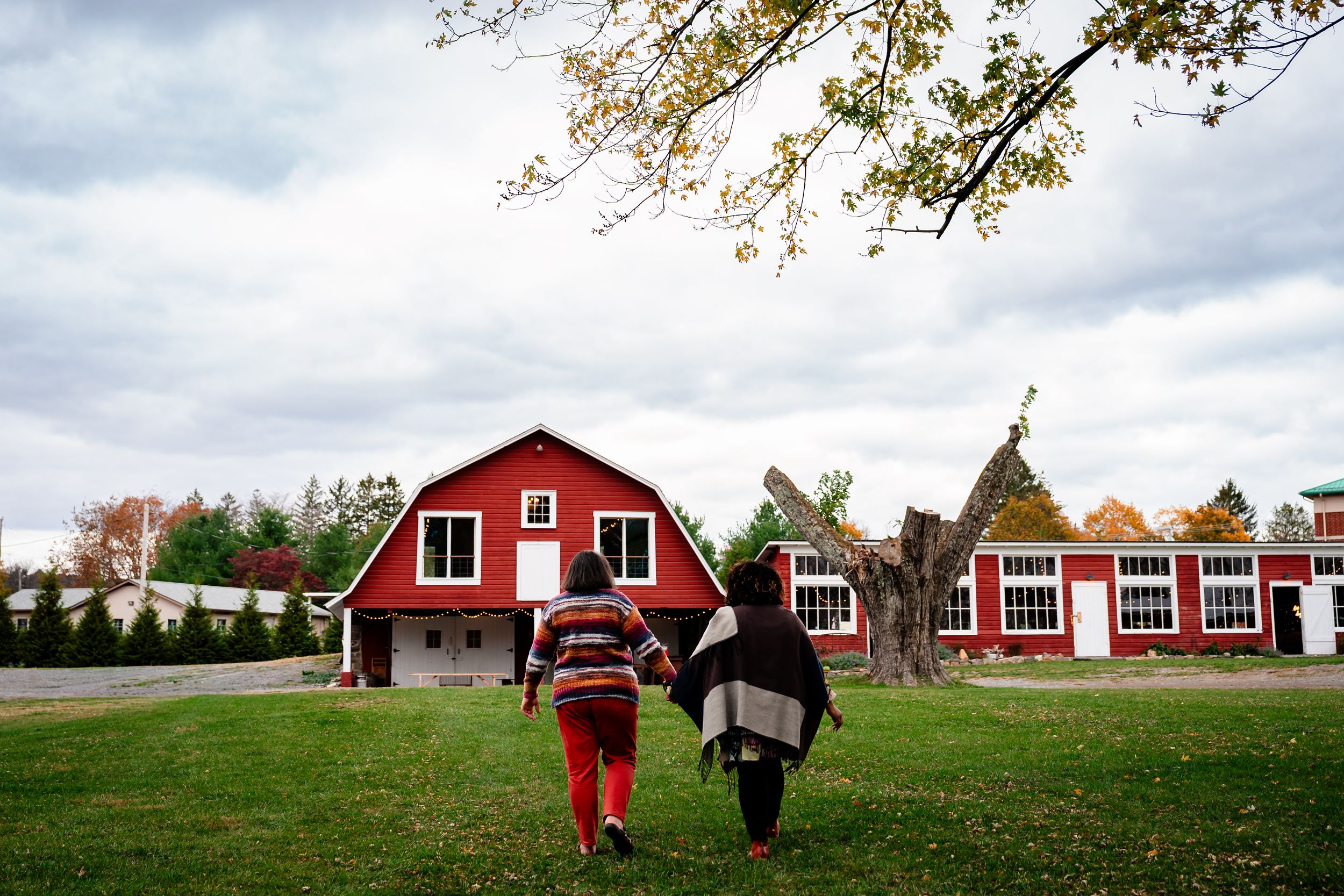 A panoramic view of red barns and farm buildings spread across a rural landscape under cloudy skies.