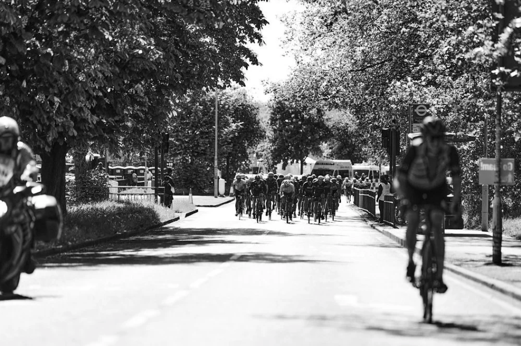 Black and white vintage photograph showing a tree-lined street with people walking along a path.