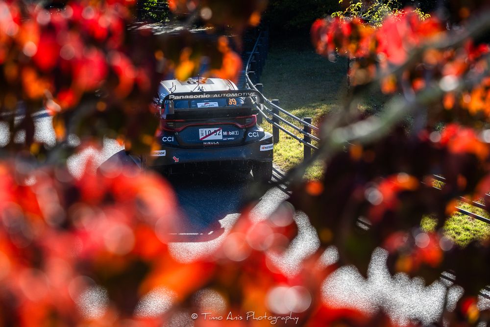 Red autumn maple leaves frame a view of parked cars on a street in soft focus.