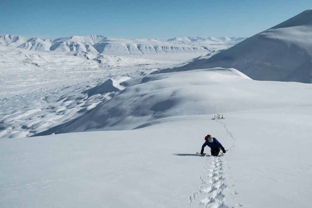 A series of snowy mountain landscapes showing ski tracks and winter activities in pristine alpine terrain.