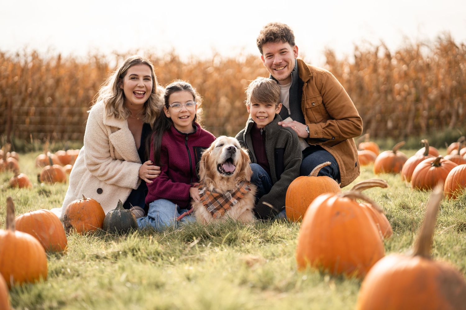 Family enjoying a fall afternoon at a pumpkin patch with orange pumpkins scattered in grass during golden hour.