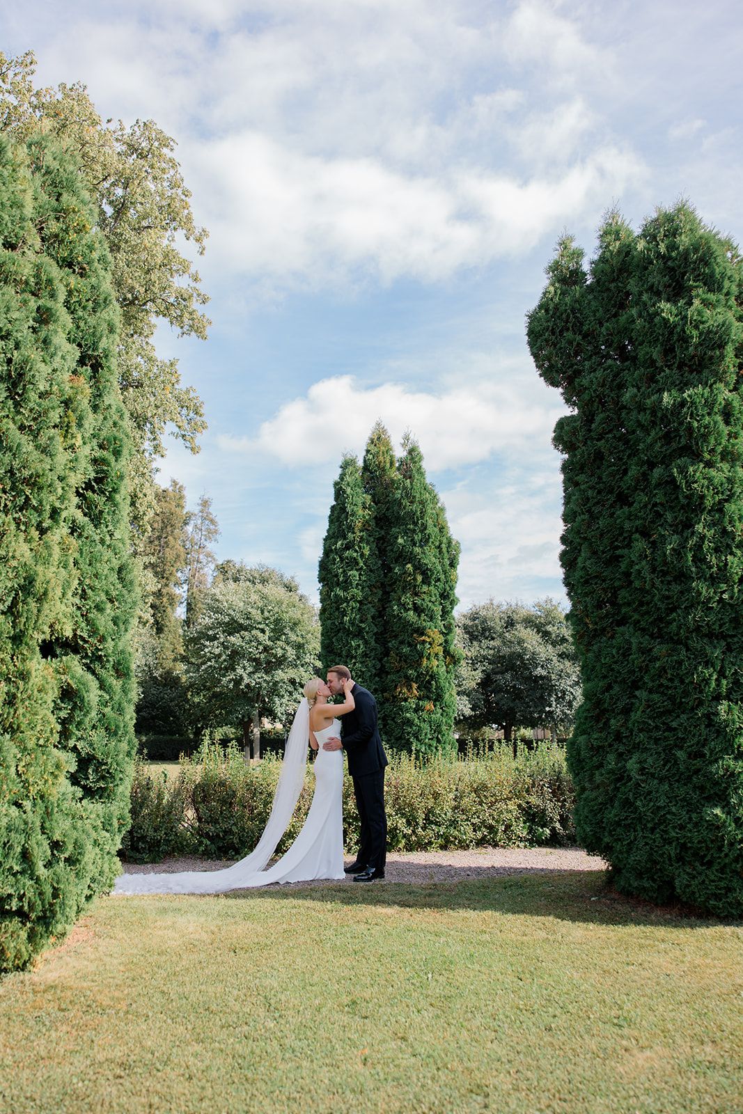 A scenic outdoor wedding ceremony setup with a white aisle runner between tall evergreen trees in a lush garden setting.
