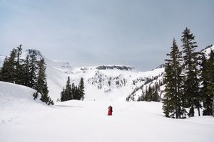 A series of snowy mountain landscapes showing evergreen trees and ski slopes during winter season.