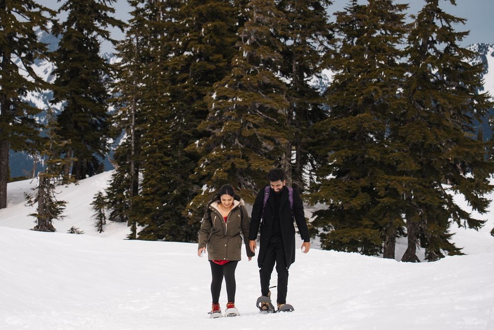 A group of skiers traverse through a snow-covered forest trail on a winter day as evergreen trees tower above them.