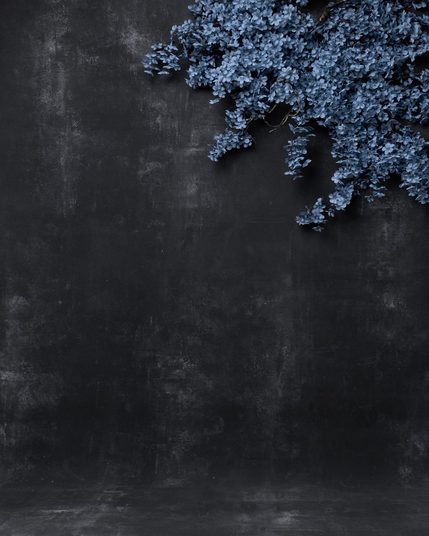 Dark moody background with delicate blue cherry blossoms framing the top edge against a textured gray surface.