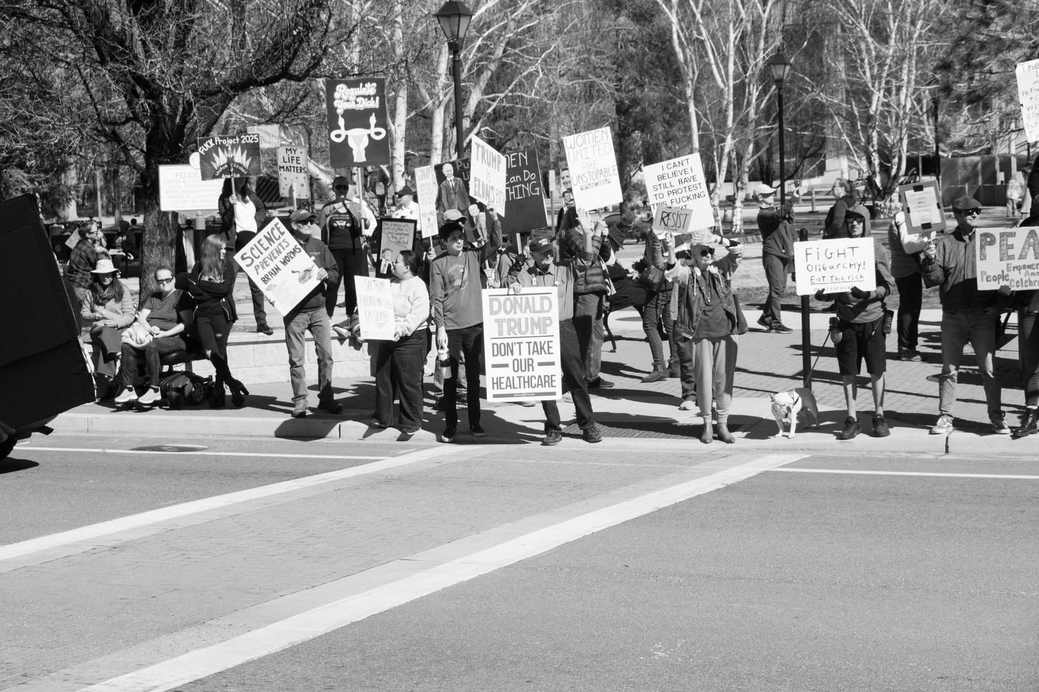 Large group of protesters line a street holding various signs during an outdoor daytime demonstration.