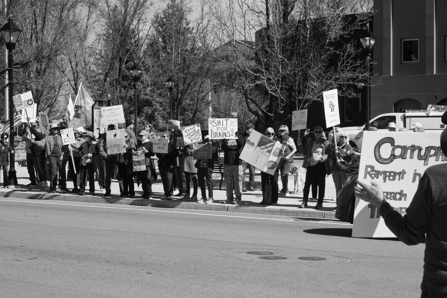 Black and white image of a large group of protesters holding signs along a tree-lined street.