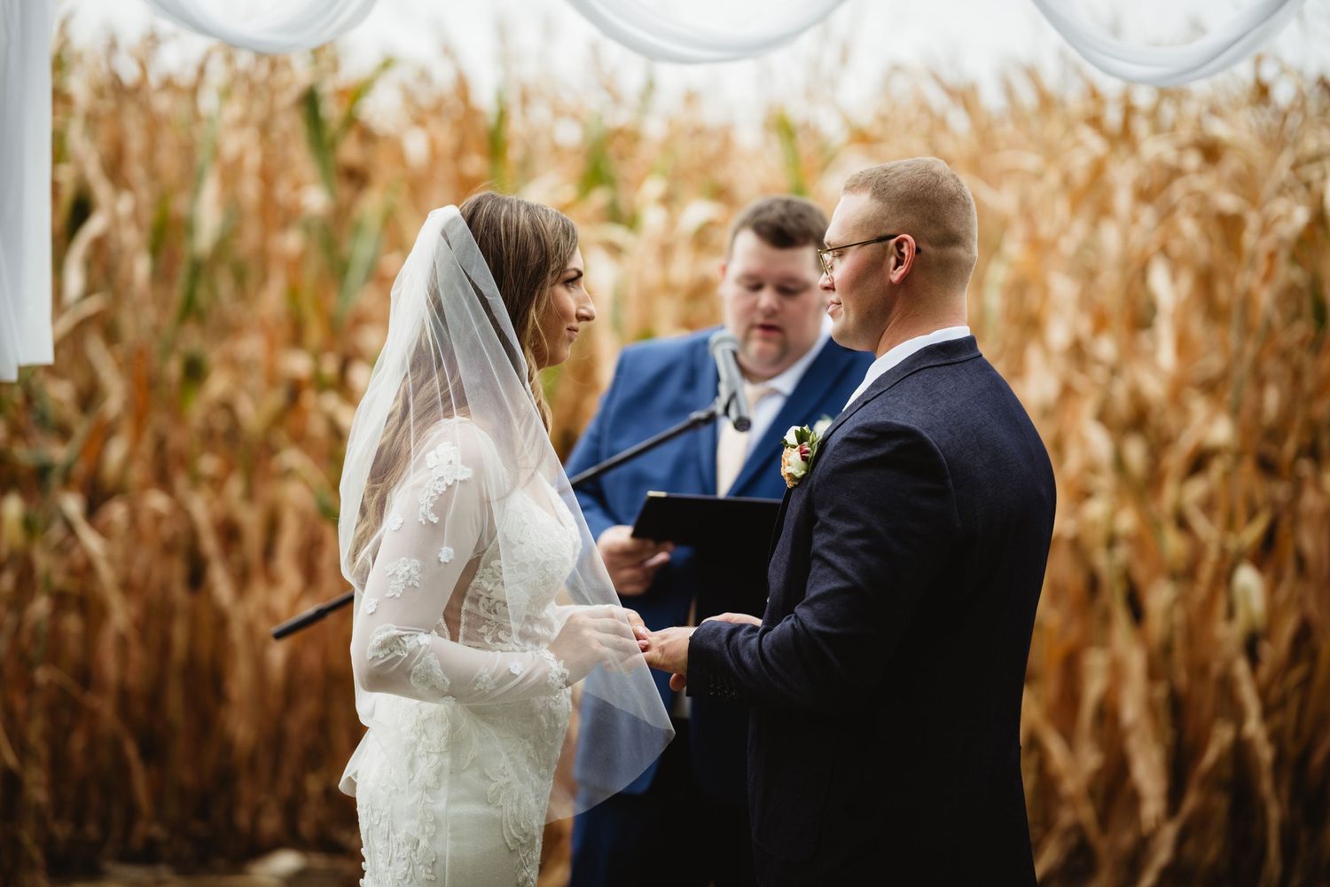 People celebrate their wedding ceremony in front of tall dry corn stalks in a rustic autumn setting.