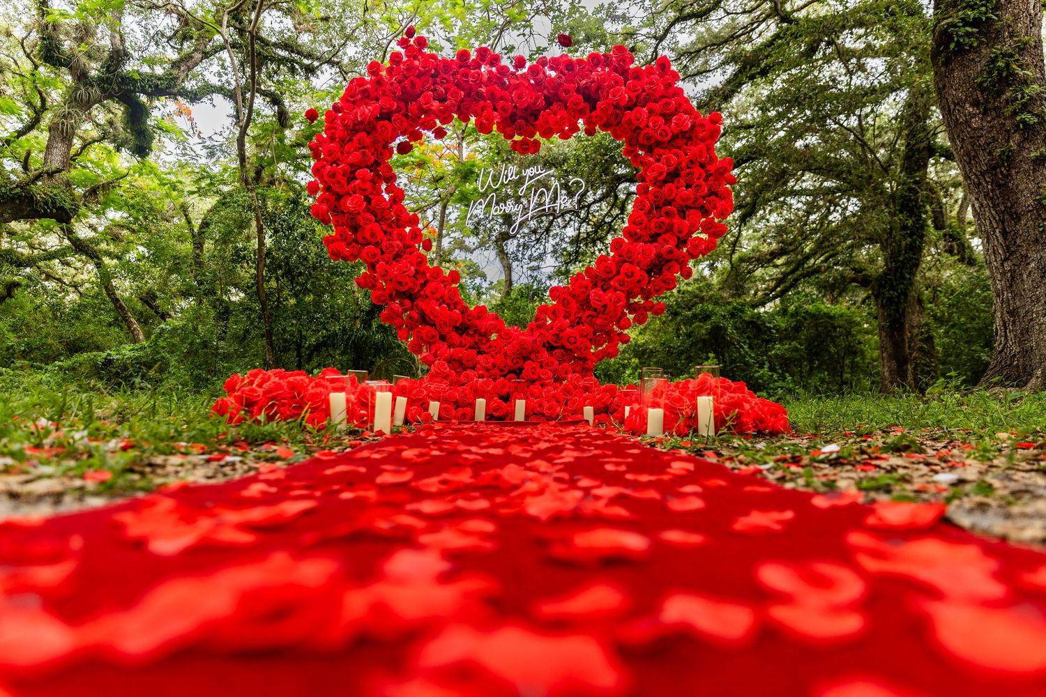 A heart-shaped installation of bright red petals on forest ground surrounded by trees and greenery creates a romantic scene.