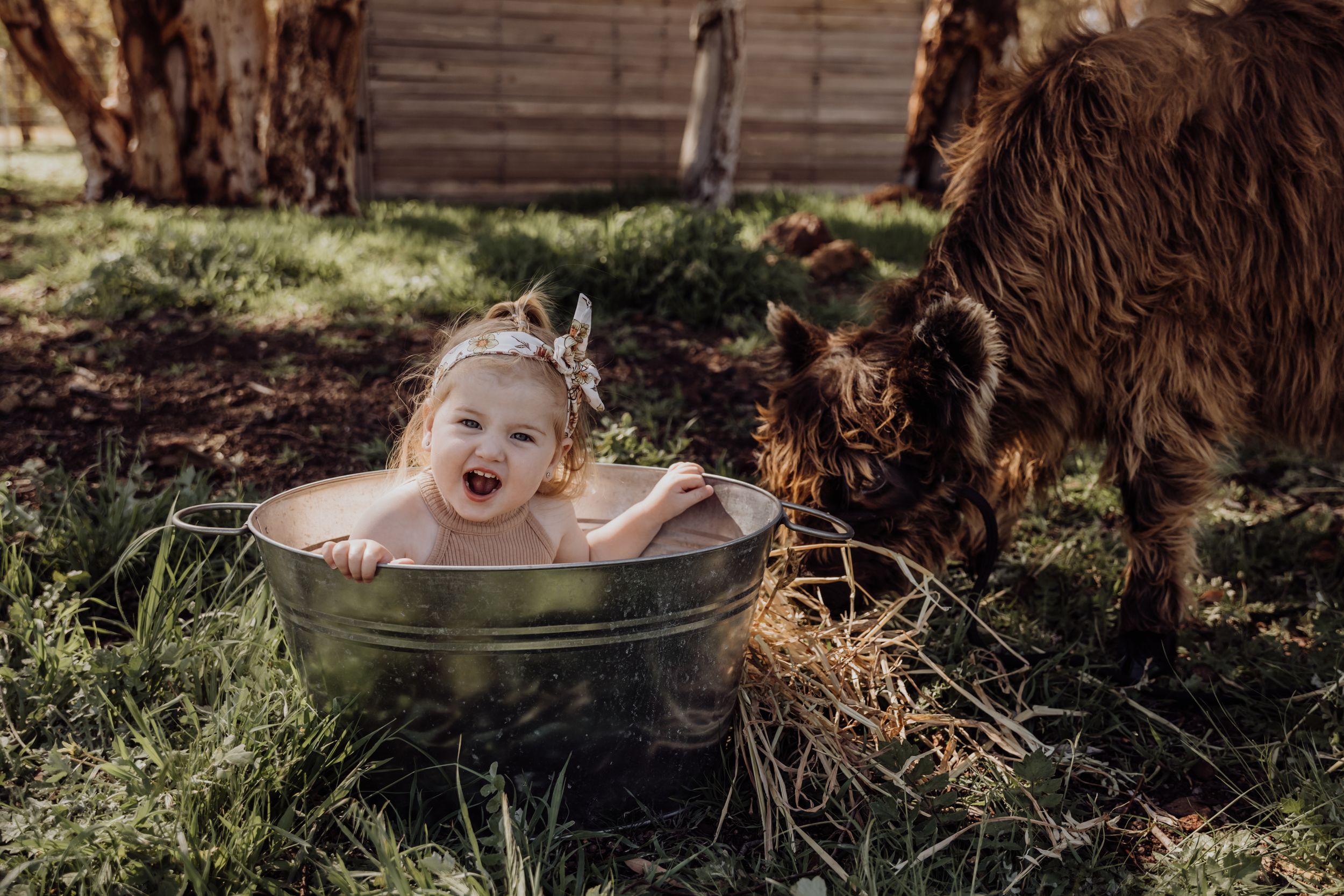 perth family photography, perth babies, family photos perth, mums, sunset photos, maternity photography, newborn photography
