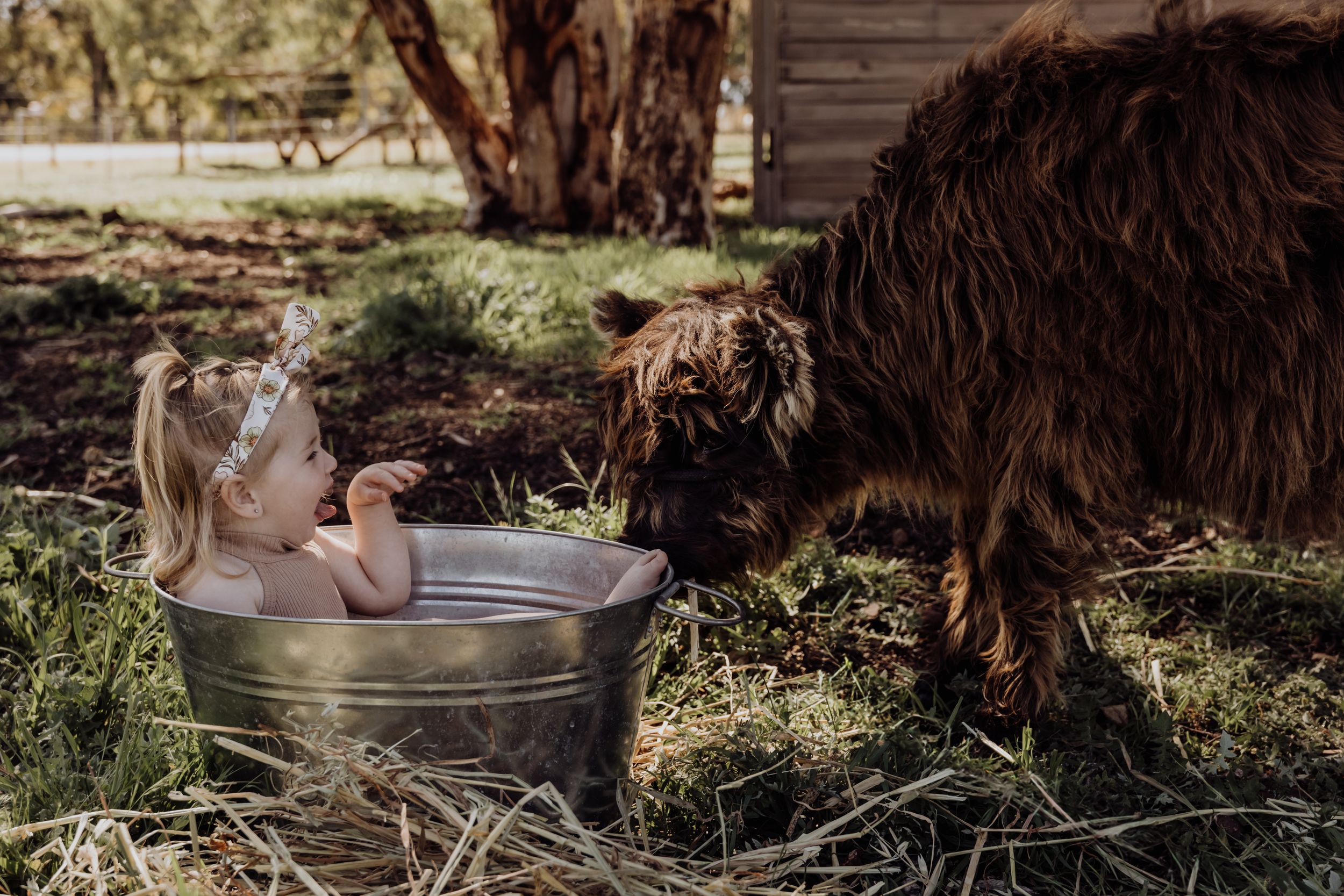 perth family photography, perth babies, family photos perth, mums, sunset photos, maternity photography, newborn photography
