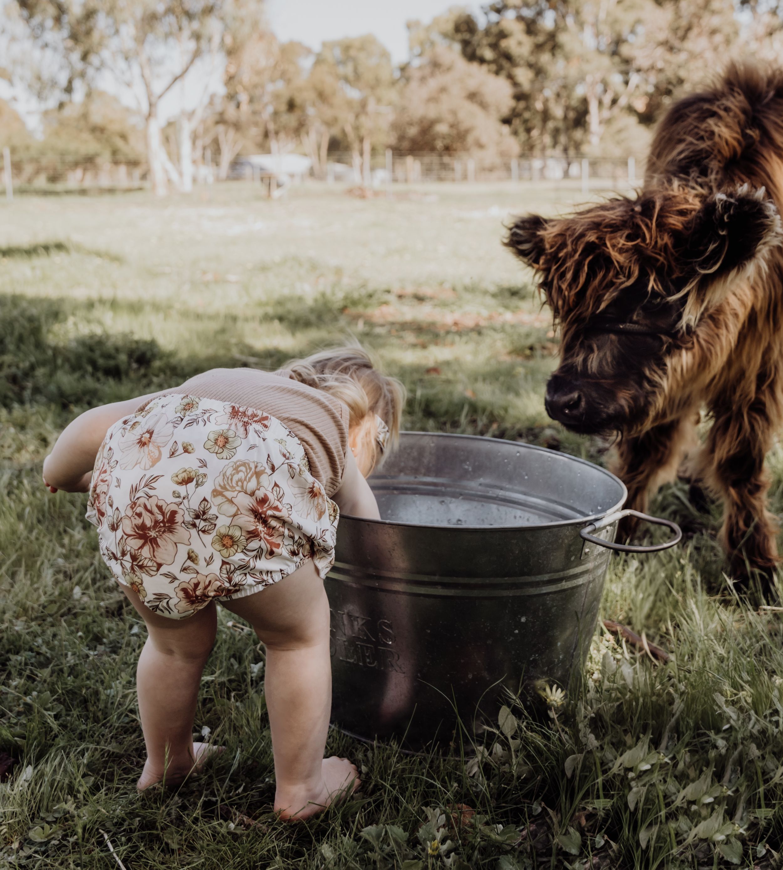 perth family photography, perth babies, family photos perth, mums, sunset photos, maternity photography, newborn photography