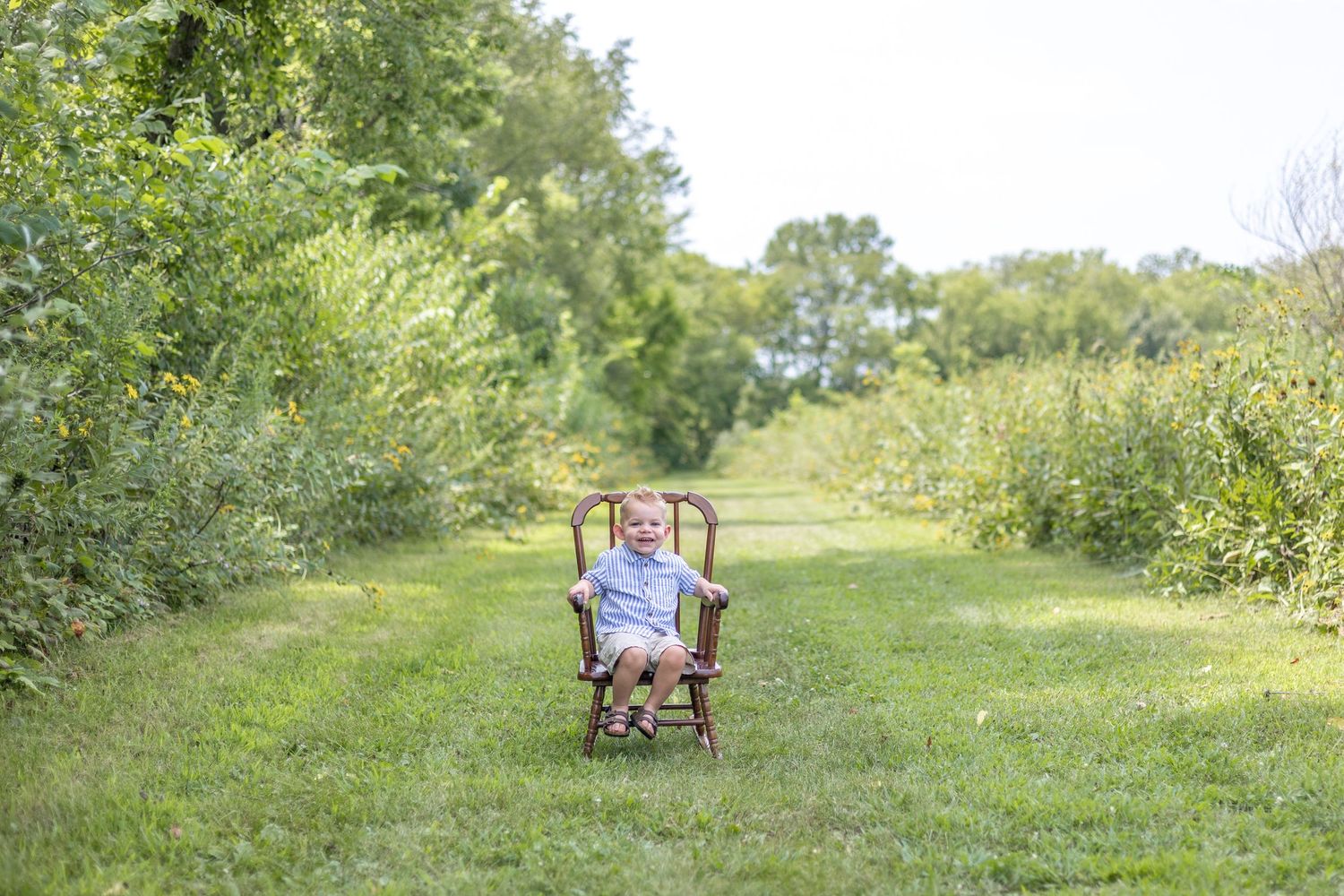 Springfield, IL Photographer captures a boy laughing on a chair in open grass during a milestone session in Central, IL