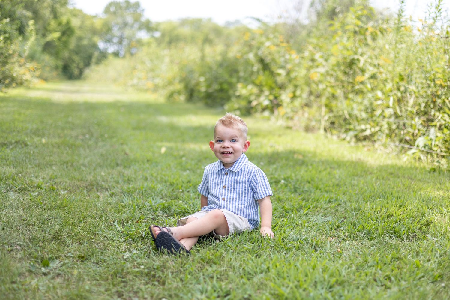 Springfield, IL Photographer captures a boy smiling while sitting on grass during a milestone session in Central, IL
