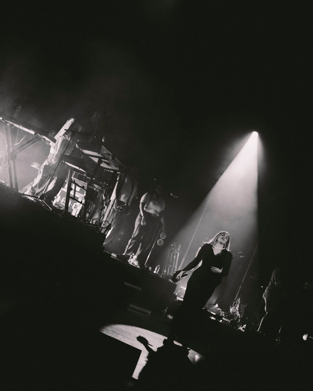 A dramatic black and white concert performance silhouette with dramatic stage lighting and fog effects.