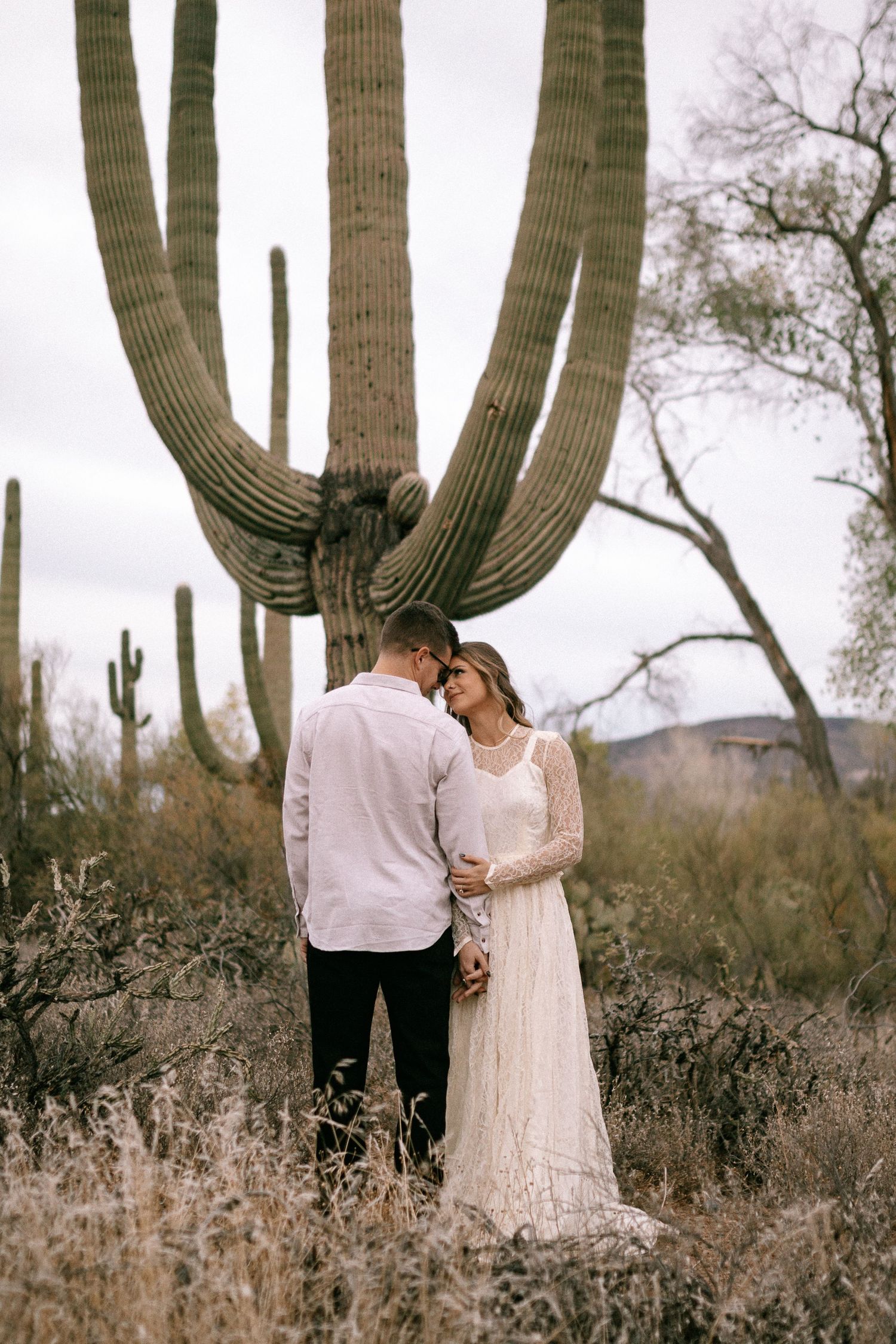 A romantic desert wedding scene featuring saguaro cacti and desert brush at sunset.