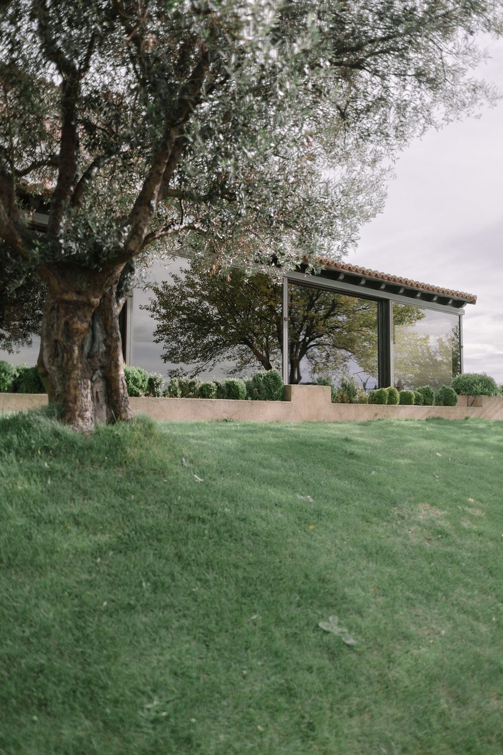 A covered outdoor pavilion sits on a grassy hill beneath a large olive tree with a cloudy sky backdrop.