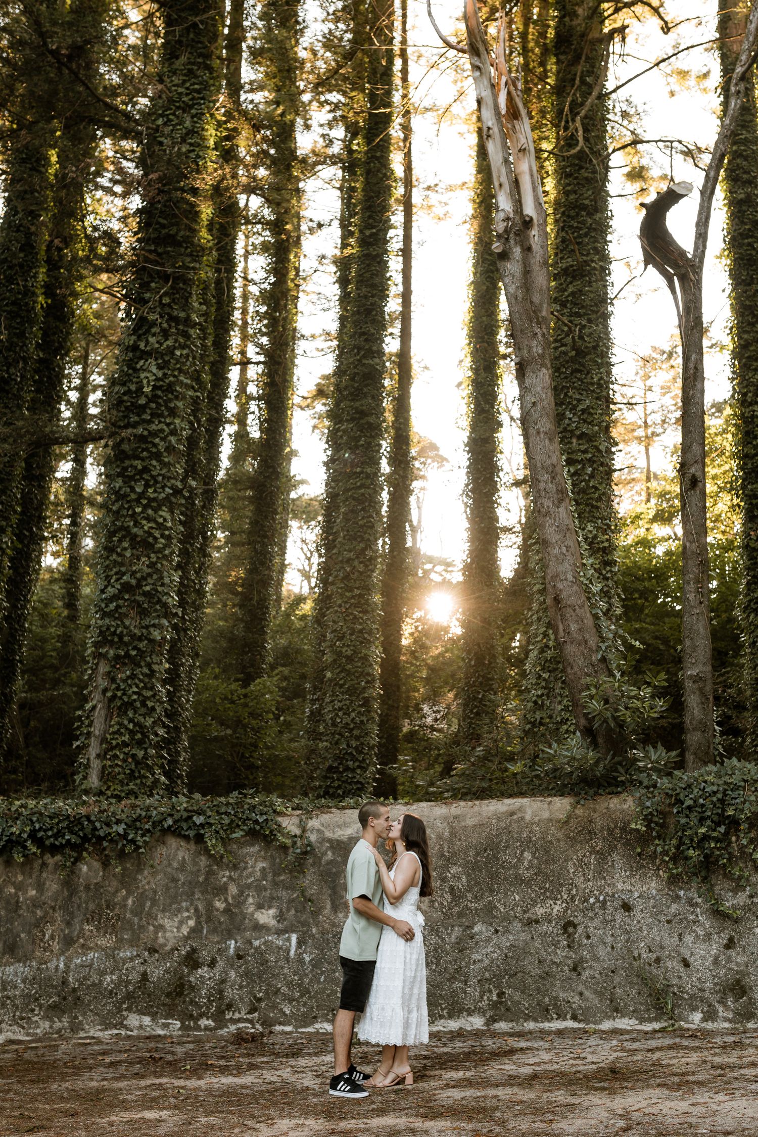 Engagement photos in Sintra forest with warm golden light and tall trees