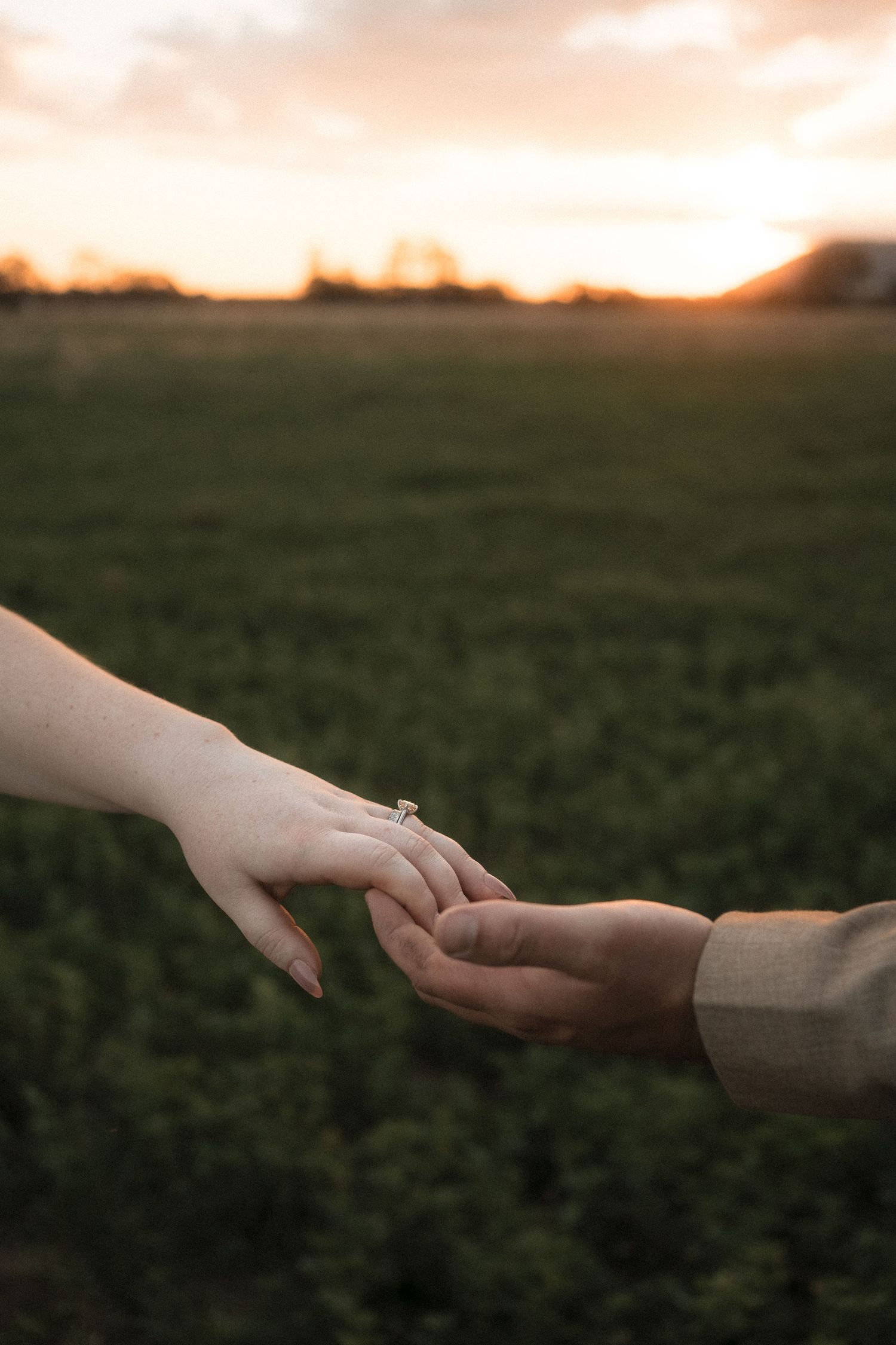 Two hands reaching towards each other against a sunset backdrop in a grassy field.