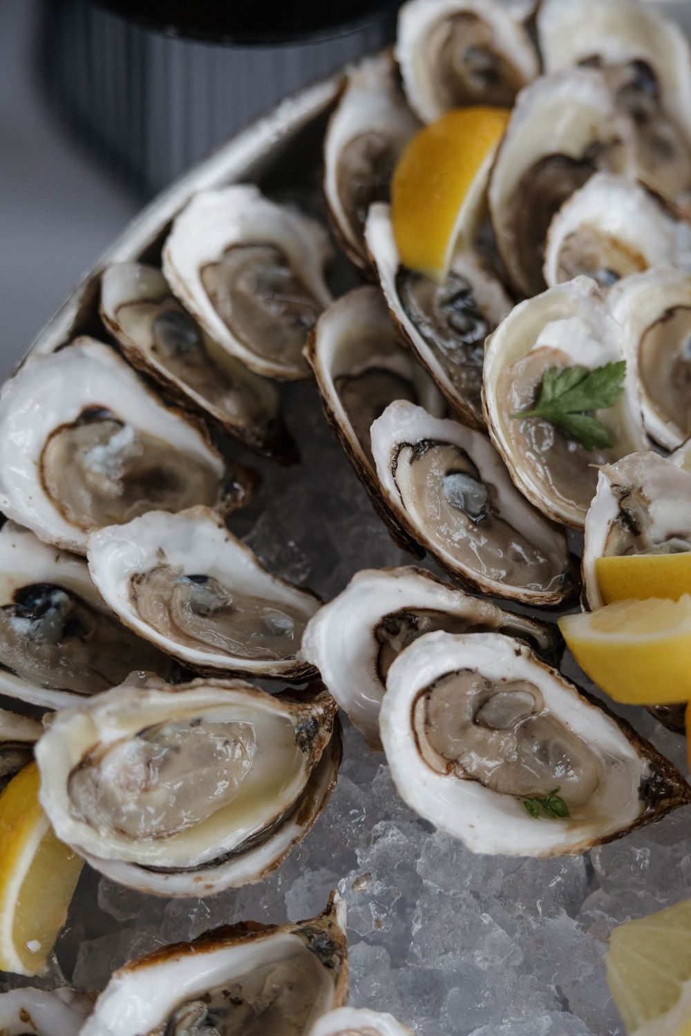 Fresh raw oysters on ice garnished with lemon wedges and herbs, served on a gray platter.