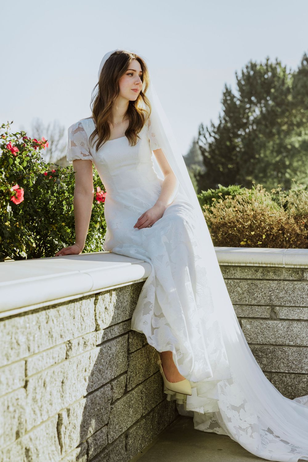 A bride sits on the edge of a concrete garden bed filled with roses