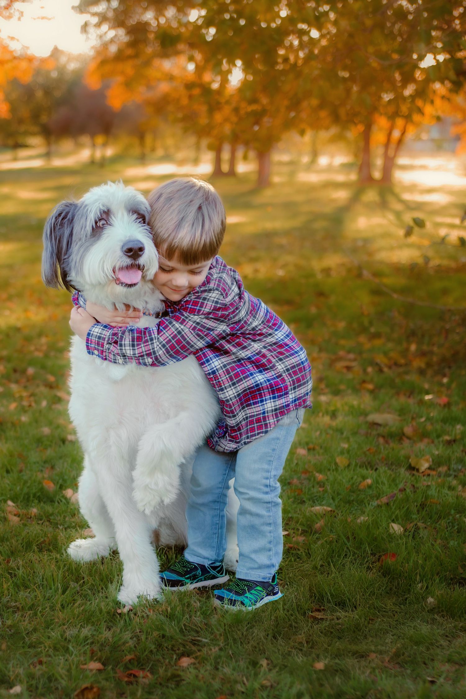 A fluffy white dog and child share a tender moment outdoors during golden hour in autumn in Colleyville, TX.