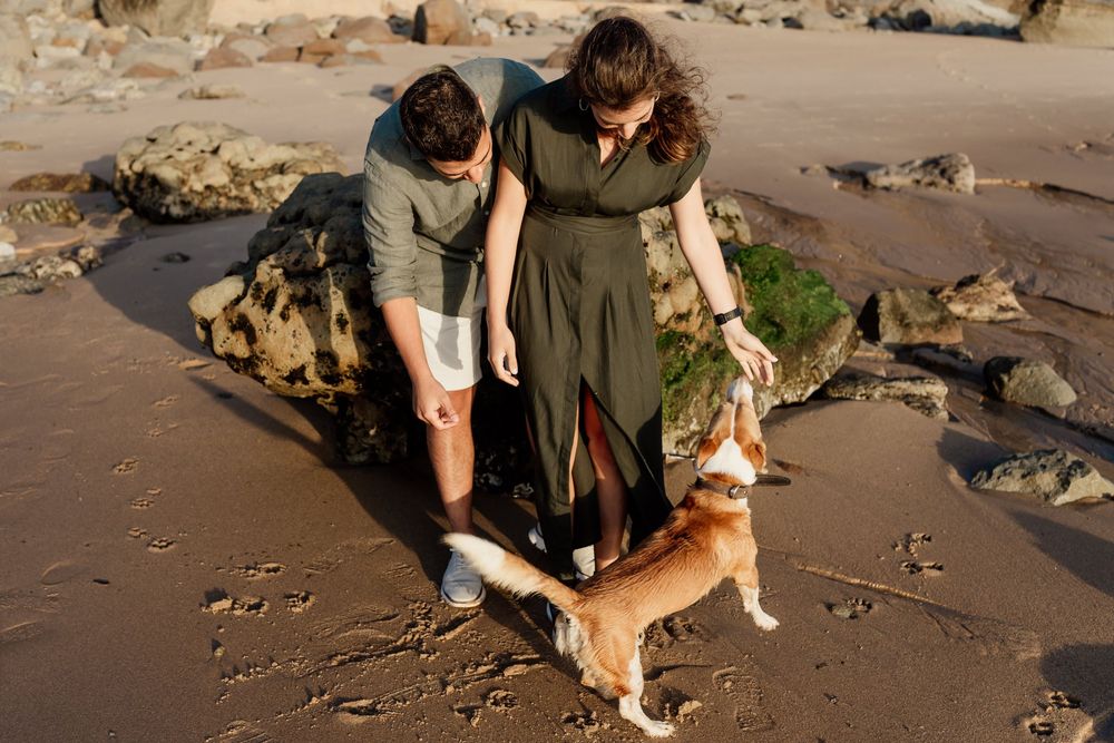 Two people in casual clothing interact with a dog on a rocky beach.