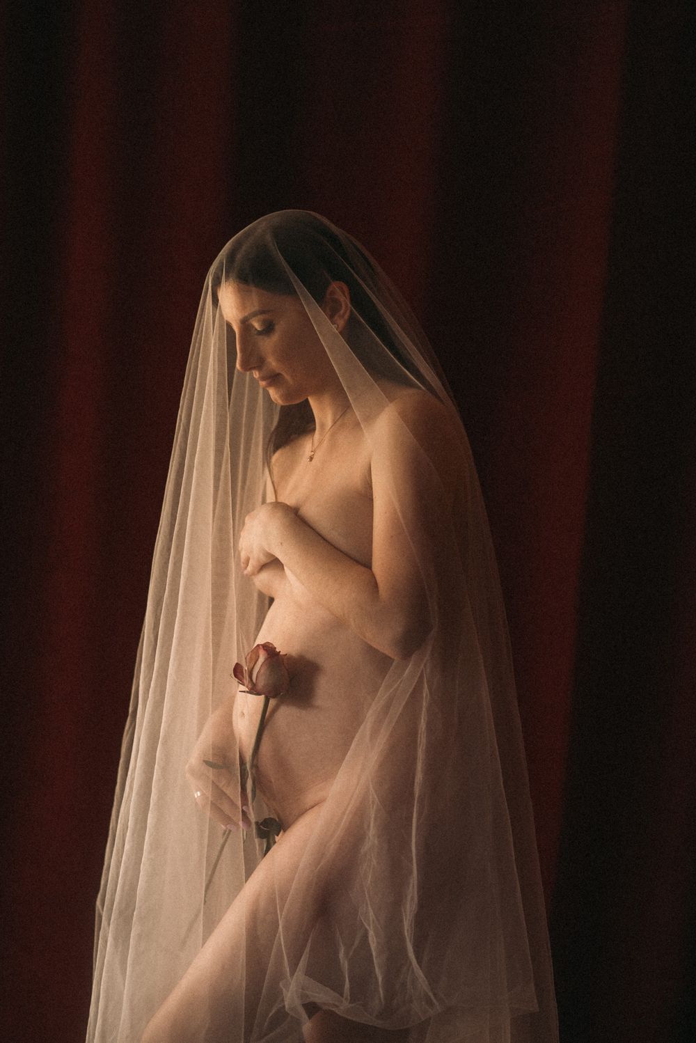 Artistic boudoir series with sheer veil creating romantic silhouettes.