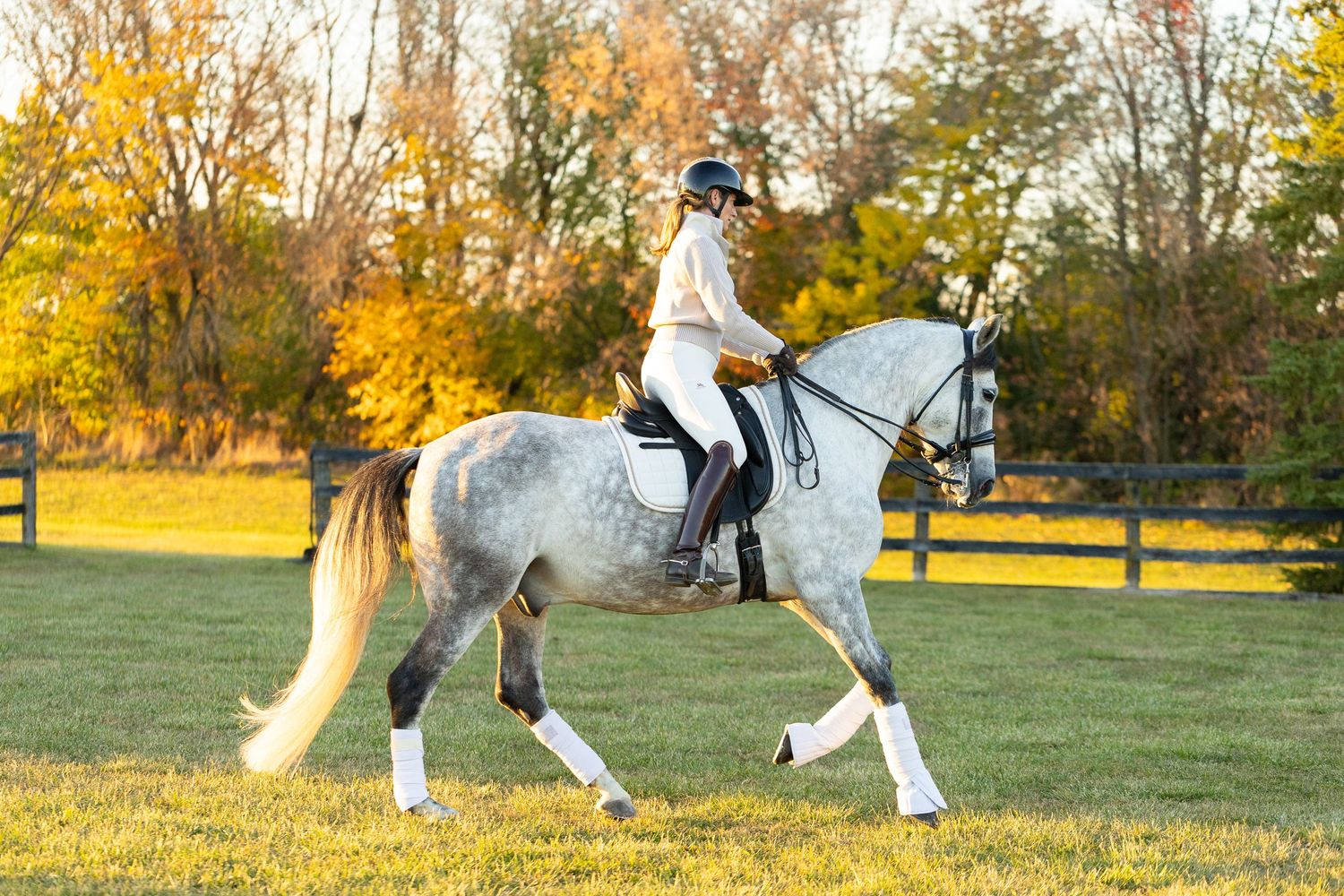 ontario equine photographer, dressage rider, Dressage horse sales, tina irwin olympic dressage rider, horse and rider portraits, horse photo
