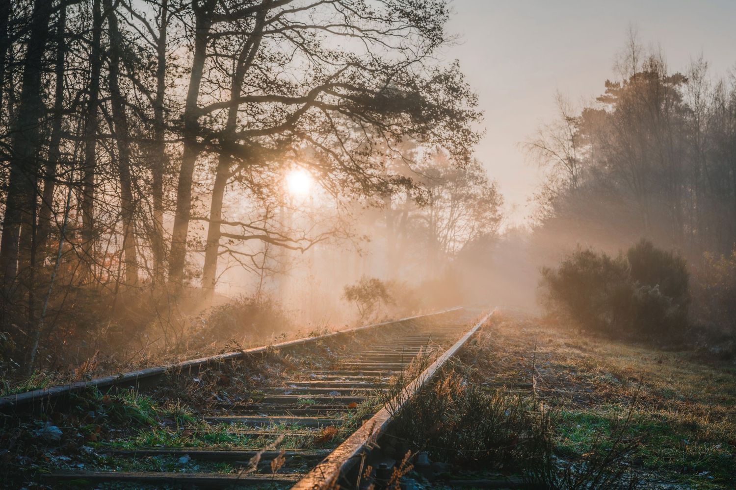 Misty sunrise over abandoned train tracks in a foggy forest landscape.