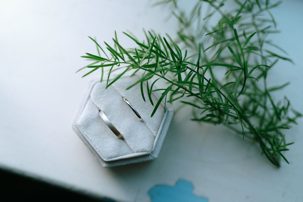Silver wedding rings in a hexagonal velvet box with green botanical sprigs on a white surface.
