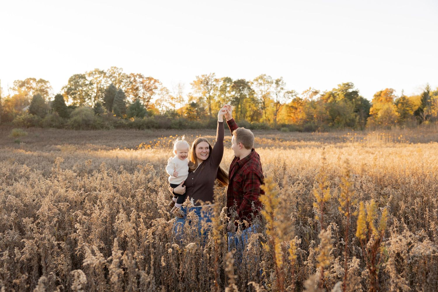 outdoor family portraits captured in a golden sunlit field during sunset at fox nature preserve in lake Orion, Oakland township, Rochester