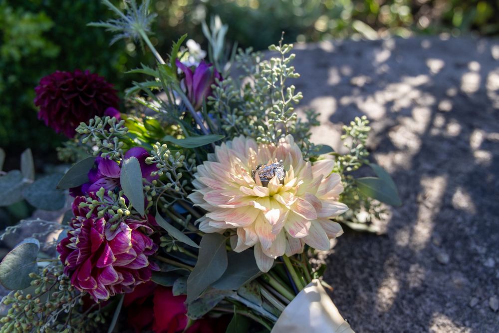 A beautiful bouquet featuring a peach dahlia, deep purple flowers, and delicate white accents in natural sunlight.