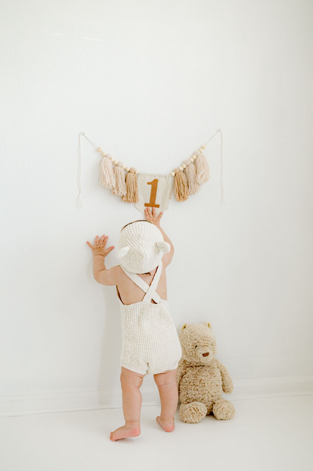 jacksonville maternity photographer