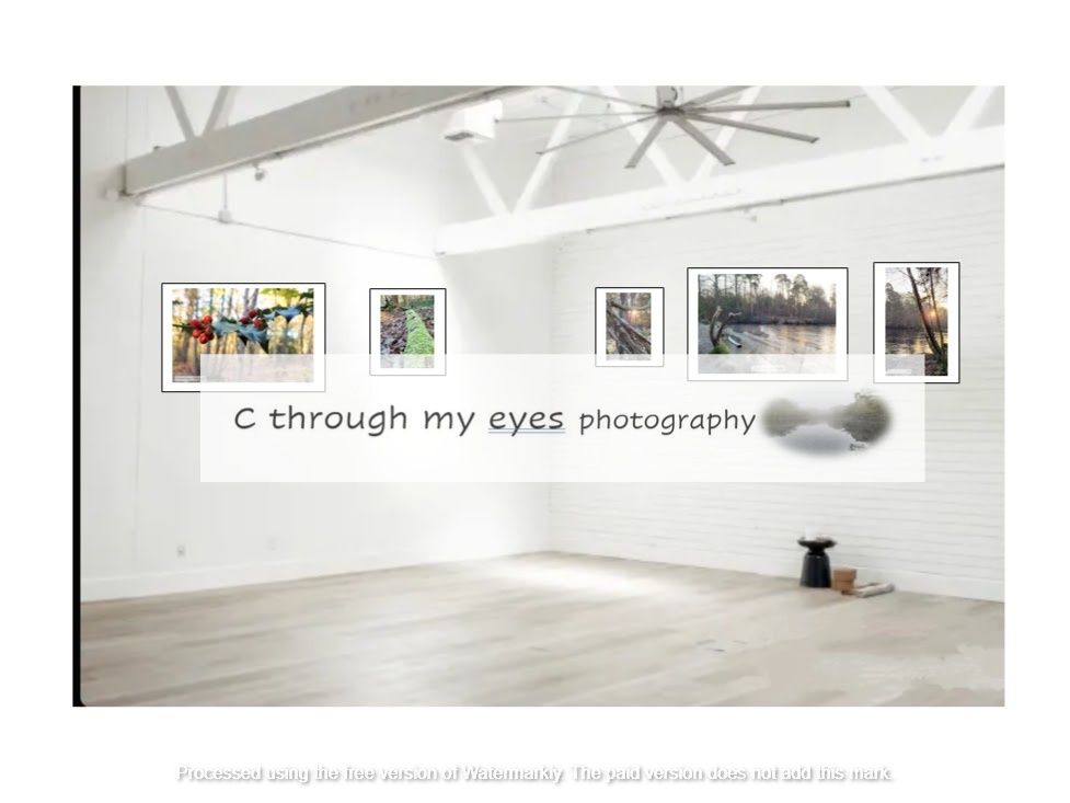 Business Buddies Photo Favours yoga, pilates and fitness studio landscape photography monthly subscriptions programme supporting local