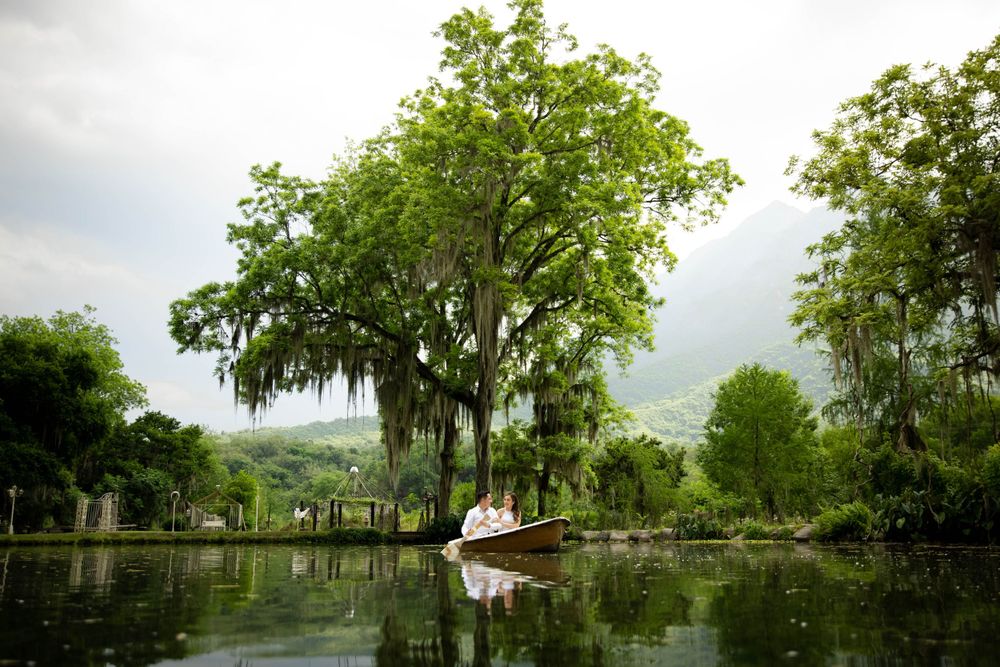 Tranquil lake scene with Spanish moss hanging from trees and a white boat in the distance.