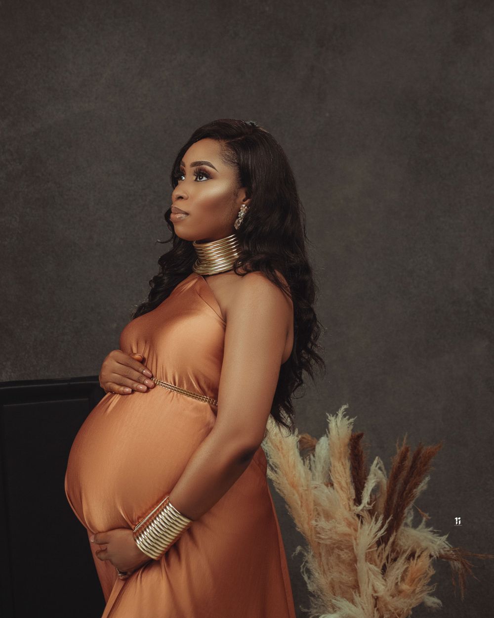 Elegant maternity portrait with copper-colored dress and pampas grass decoration.