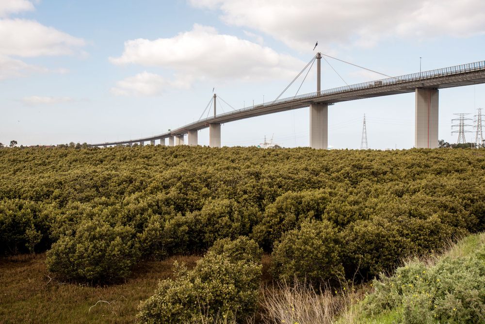 Westgate bridge
